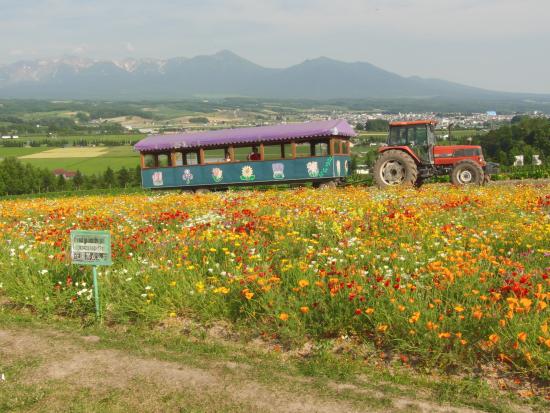 フラワーランドかみふらの
