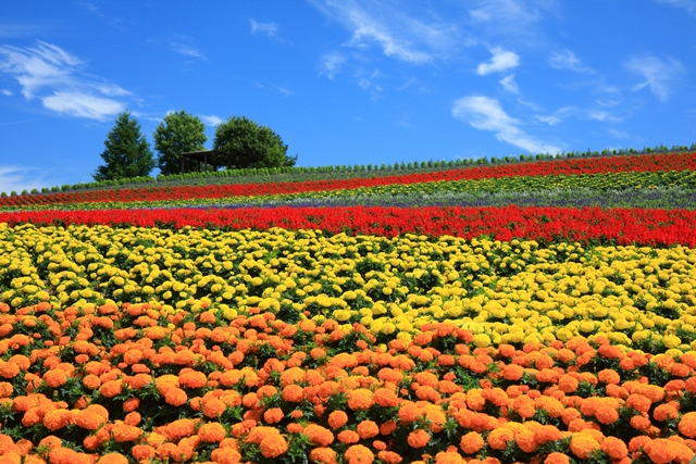 かんのファーム