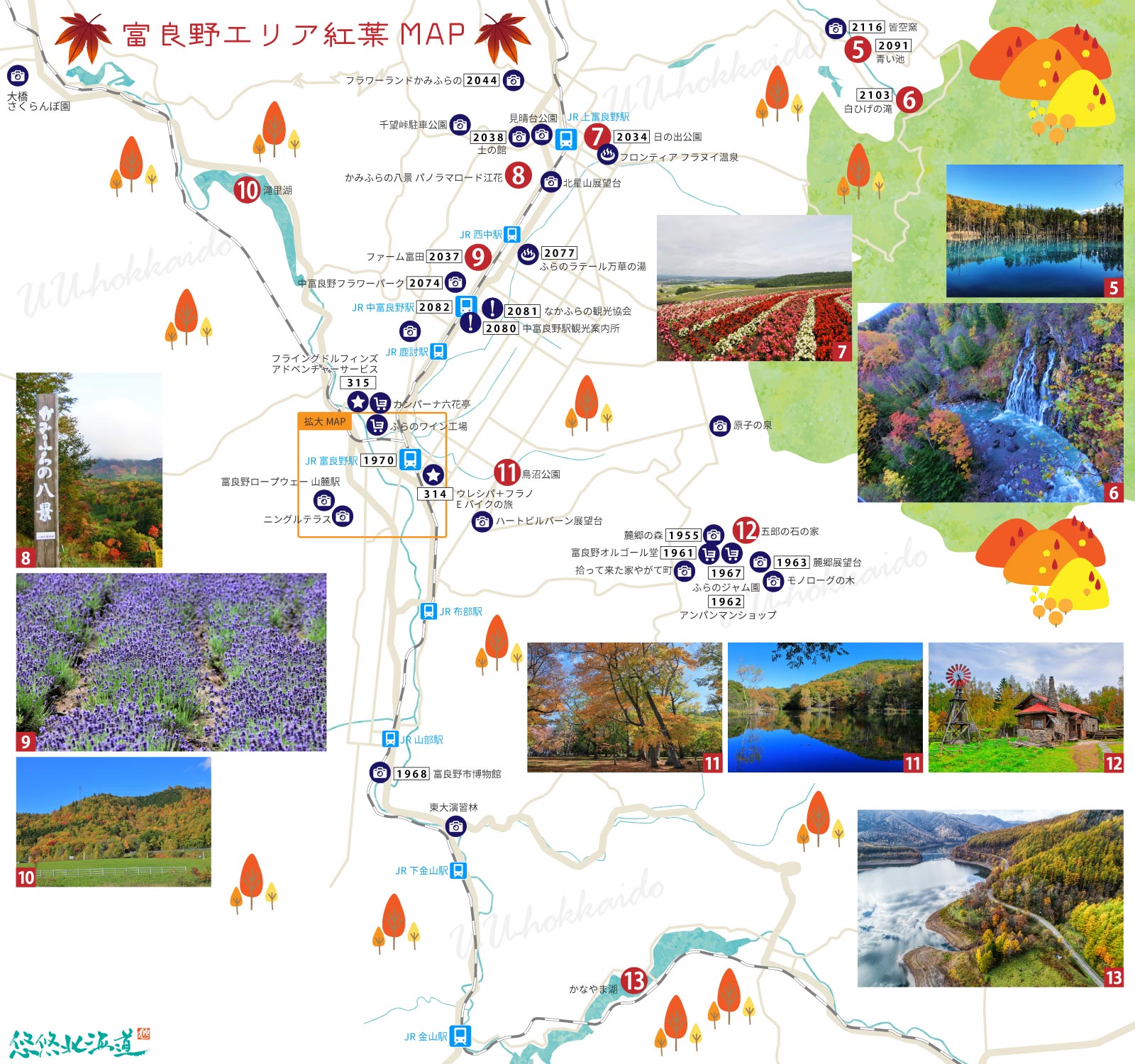 富良野周辺散策MAP