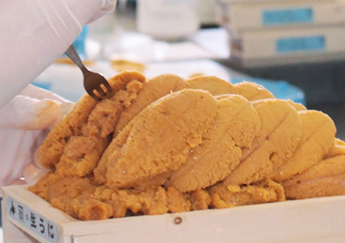 北海道産ウニの加工・販売 村上商店_悠悠北海道