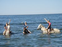 ホーストレッキング