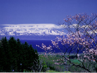 てんとらんどより