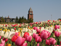 滝野すずらん丘陵公園