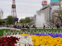 花盛りの大通公園