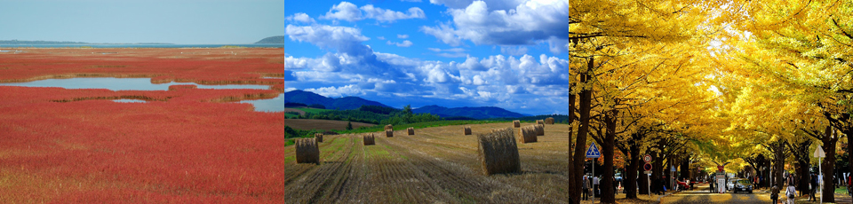 北海道の秋　季節の特集