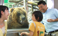 のぼりべつクマ牧場