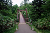 渓谷の吊り橋（利尻）