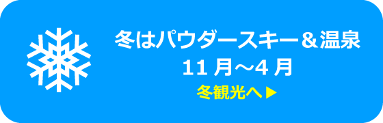 冬はパウダースキー＆温泉 11月～4月 冬観光へ