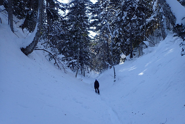 ボッケ遊歩道（スノーシュー）