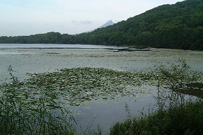 Lake Junsainuma,じゅんさい沼